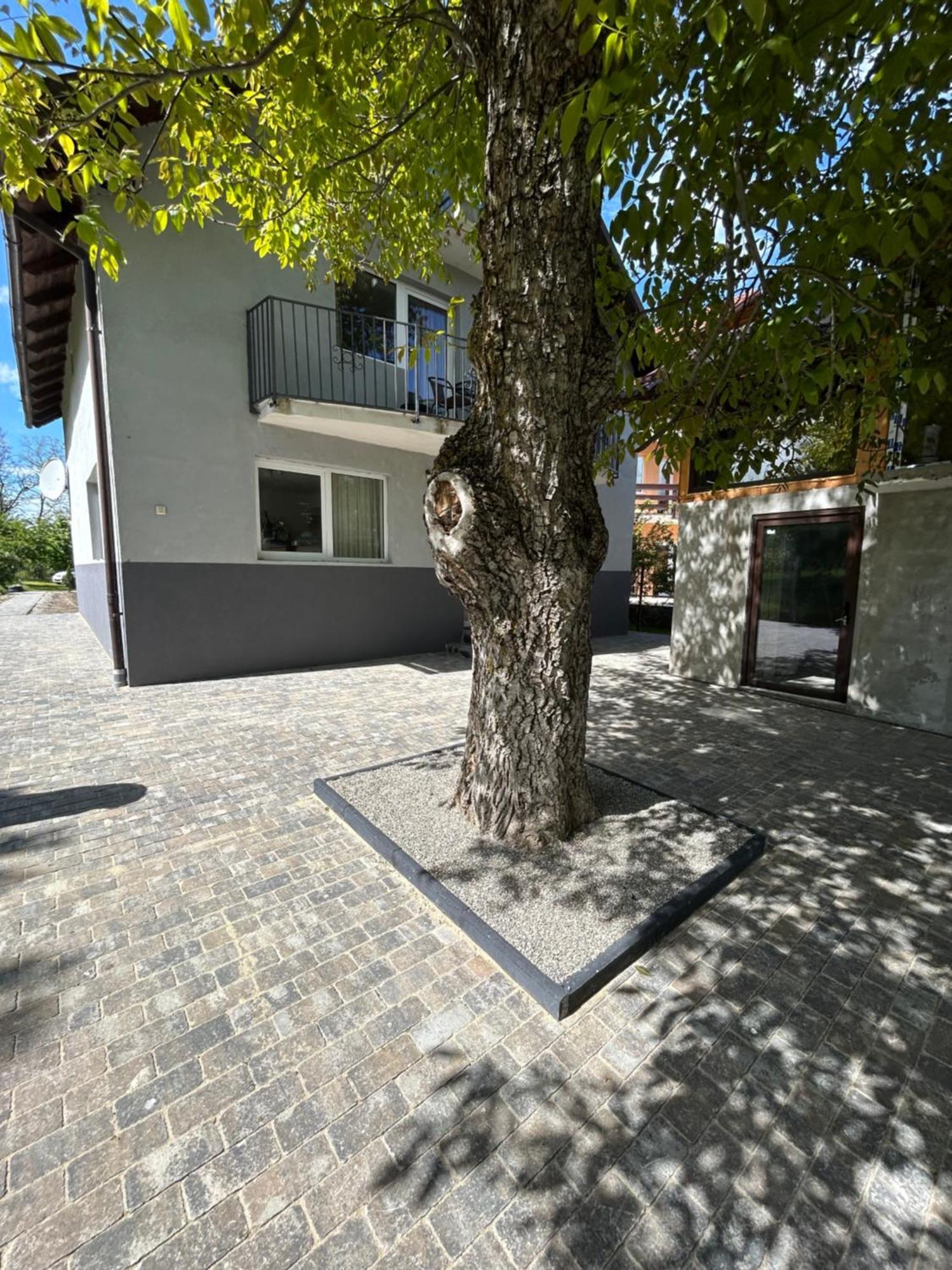 Casa Luca Ama Bran Bran (Brasov) Exterior foto