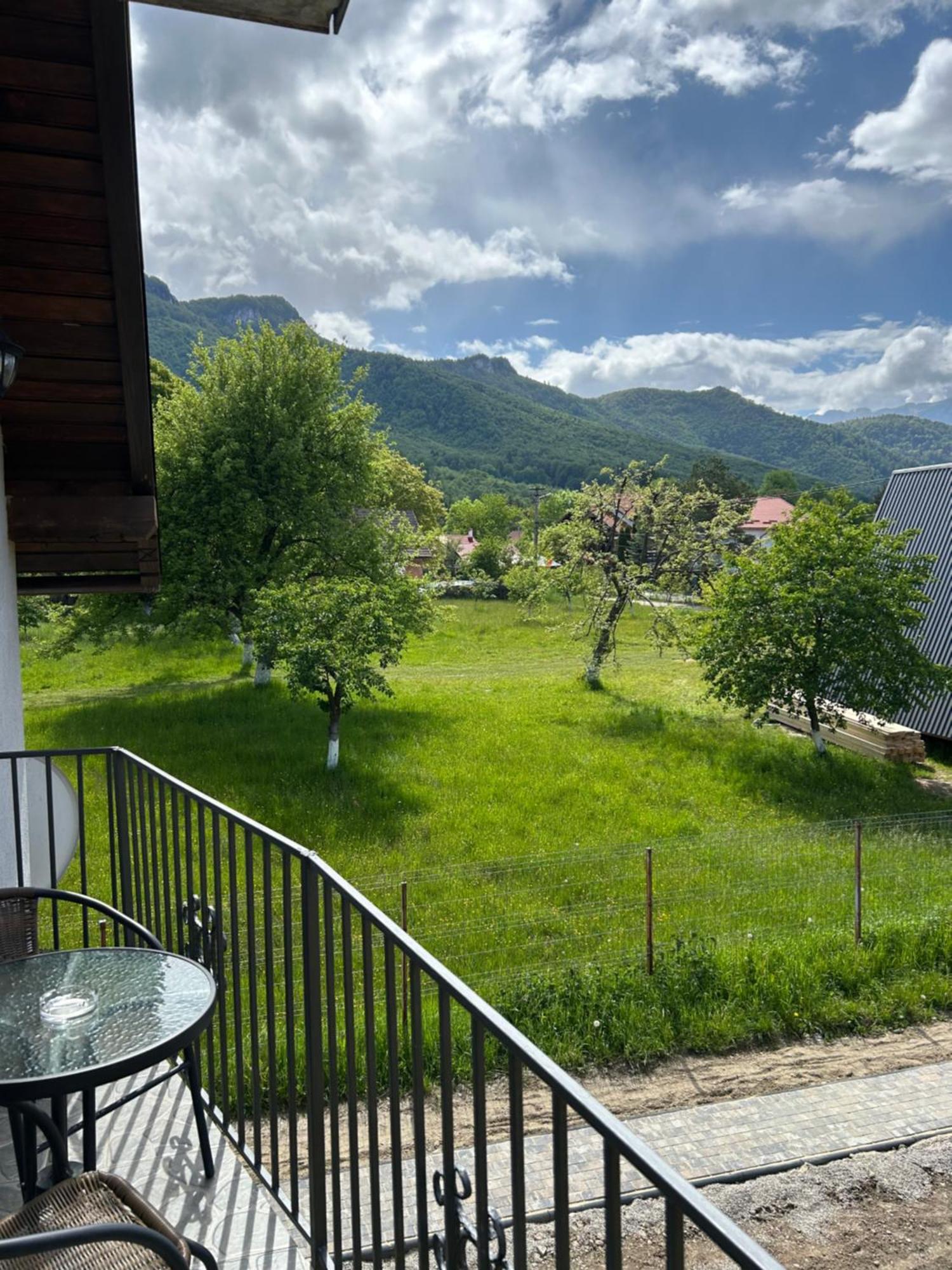 Casa Luca Ama Bran Bran (Brasov) Exterior foto